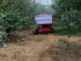 ?？卮蛞?></div>
                                                <div   id=